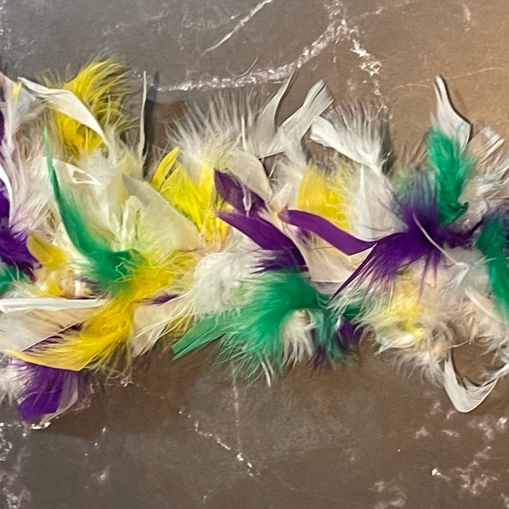 Mardi Gras Feather Boa
